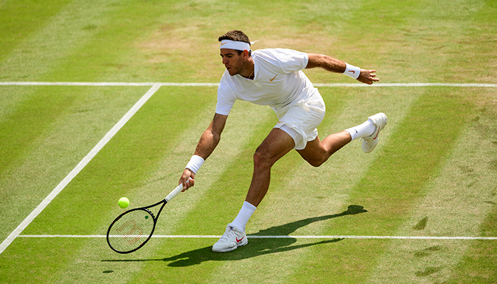 delpotro1007